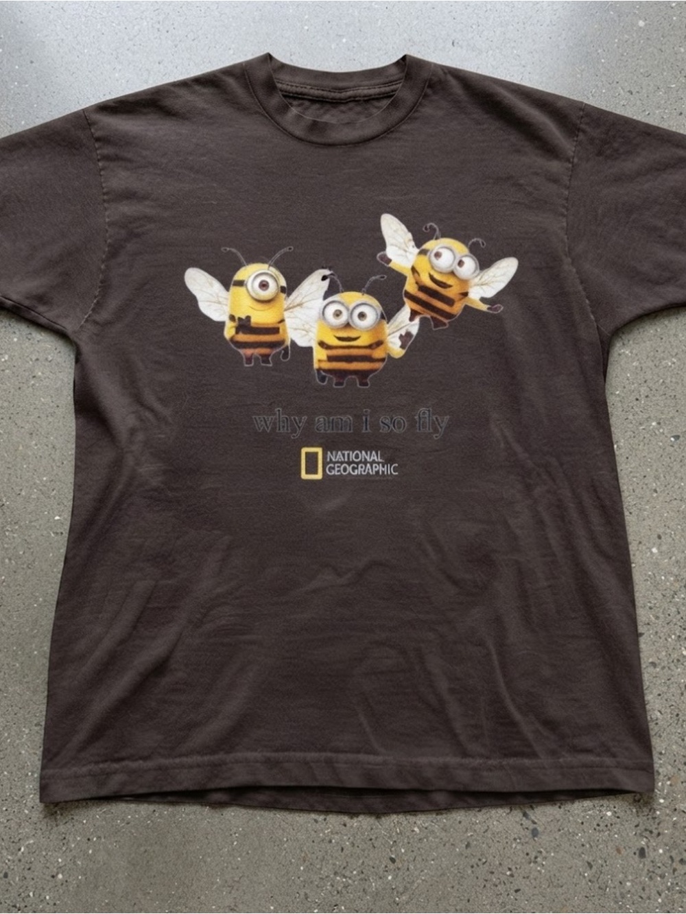Funny Bee Minions Graphic Art Print Brown Cotton Gildan T-Shirt